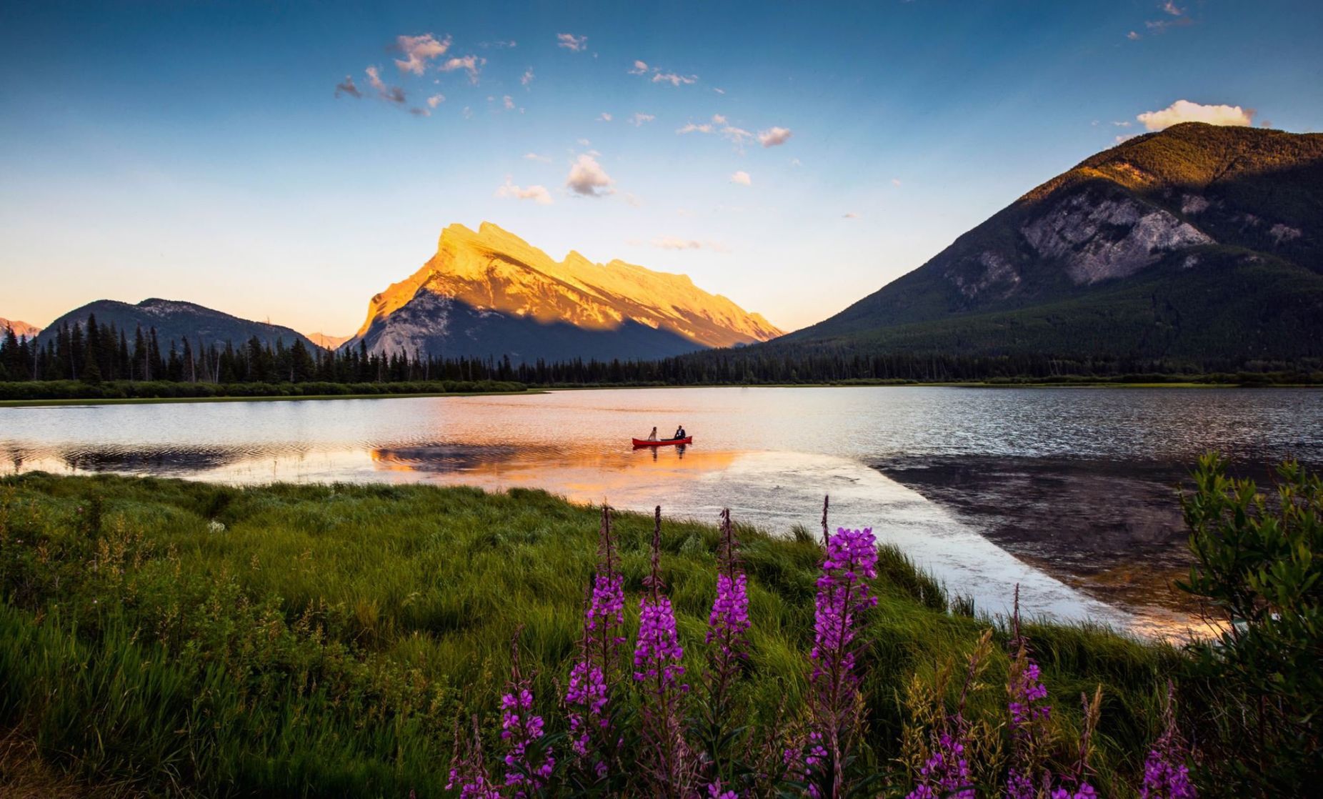 Nature and Human Harmony
